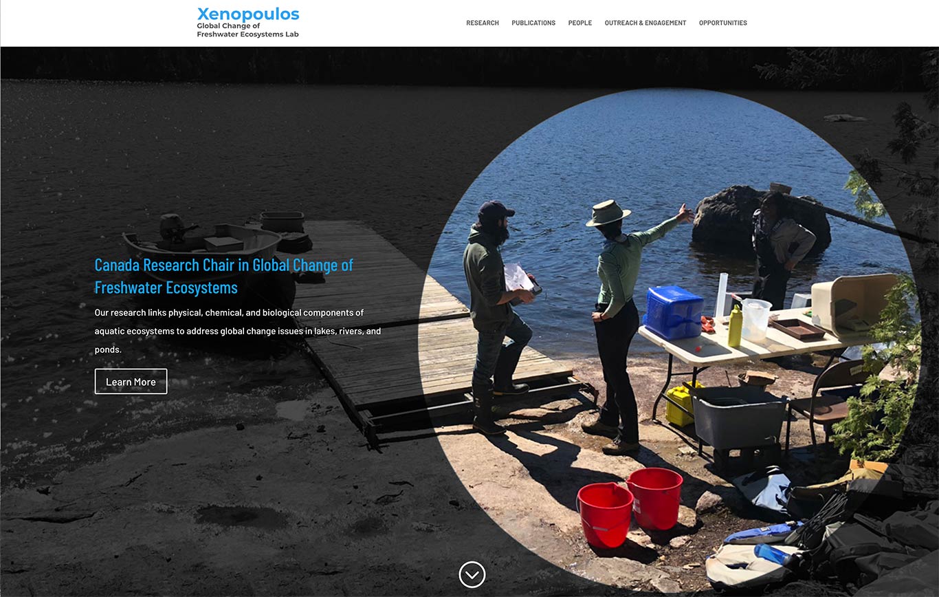 Xenopoulos Landing Page