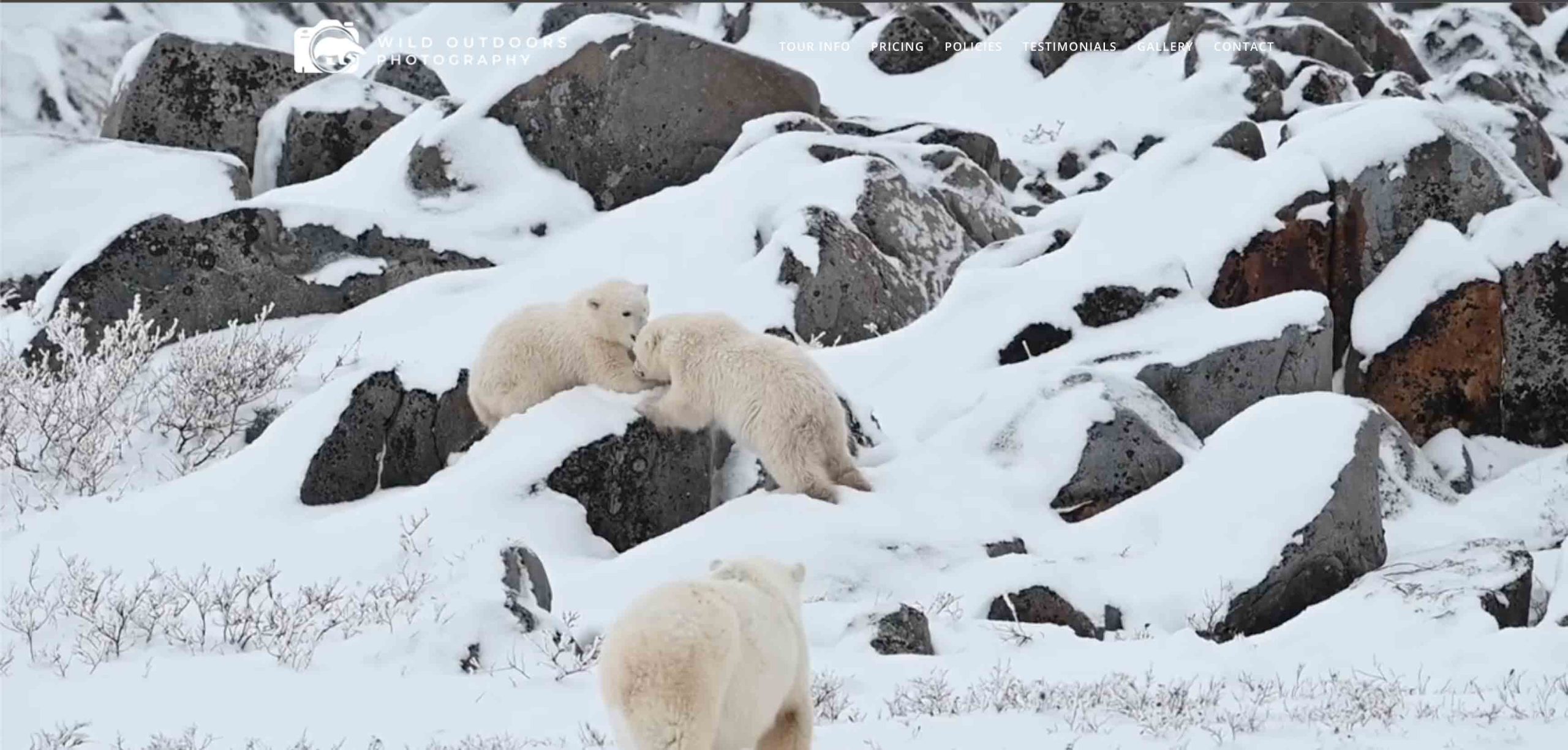 Churchill Polar bear Photography Tours Website Design